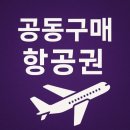 공동구매 항공권