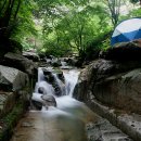 금원산자연휴양림(복합산막,일반산막,숲속수련장) Daum카페