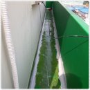 안현로서4길 | 현덕면페인트시공방수업체에서 외벽까지 완벽하게!!