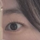쏘큐트 펫살롱 | 여의도속눈썹 샵 래쉬플로라에서 속눈썹펌 대박 후기 #속눈썹펌전후사진