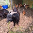 청도강변돌고래펜션 이미지