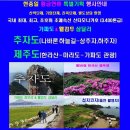 현충일 황금연휴 추자도(나바론하늘길) - 제주도(한라산) 제59회 철쭉제 6월06일,밤(금,00시40분) ~ 08일(일)2박3일 이미지