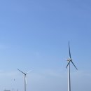 백패커스빌라제주 이미지