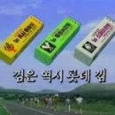 지동시장 이미지