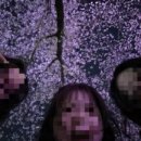 금오산왕족발