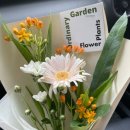 오디너리 가든 이미지