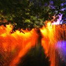 함안 낙화놀이 이미지