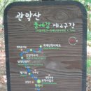 공용주차장 입구 옆 Daum카페
