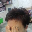 세종머리염색 네이버블로그