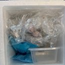 사당4동어린이집 | 송편주문 다가오는 추석 떡선물로 최고! 함지박떡방