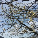 학마을농장 이미지