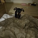 (주)해피맘 | 조리원일상1 _ 구미해피맘 조리원 이용후기(이용 중)