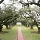 오크앨리 이미지