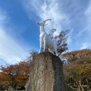 산악박물관(관음사) 이미지