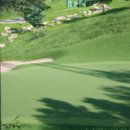 골프나인틴스크린골프 이미지