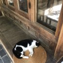 새소리 물소리 이미지