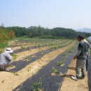 반장농장 이미지