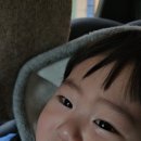 지호축사 네이버블로그