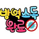 용인대석사 아이사랑 태권도 이미지