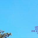 강화땅공인중개사사무소 이미지