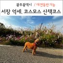 종부둔치화장실(백일홍화장실) | 광주 서구 서창 코스모스 억새 애견동반 가을 산책길