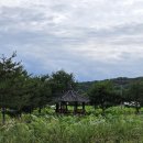 매원2리마을회관 | 칠곡 매원마을 실시간 방문후기 | 능소화와 연꽃이 기다리는, 여름이 머무는 한옥마을