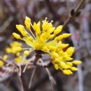 목련세탁 이미지