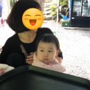 원준식당 네이버블로그
