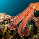 Latest News Reading 이미지