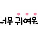 하이룸