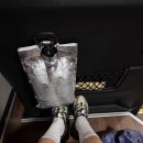 더제리스플래닛 호텔 | 2025 사운드 플래닛 페스티벌 후기 공연 파라다이스시티