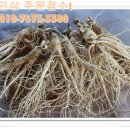 금산인삼직판장 이미지