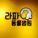 라파동물병원 이미지