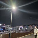 수목야식 | 이태원 연예인도 찾는 술꼬마｜당일도축 육사시미에 한잔하기 좋은 한식 주점 맛집 후기 ❤️