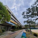 서울송파초등학교 이미지