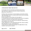 심상우 묘 네이버블로그