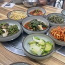 일영 대추나무집
