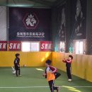 하이카 가로수점 이미지