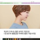 헤어 온 이미지