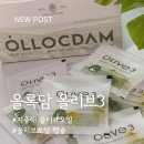 현대충청올리브데올리브 | 올록담 올리브3, 올리브오일 캡슐 진짜 엑스트라버진 고르는 법 후기