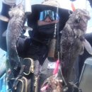 연안유선 | 인천 중구 남항 연안 부두 배낚시 추천 &amp; 후기 가이드