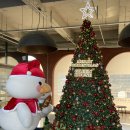 동읍340 | 창원 주남저수지 카페 대형카페 베이커리카페 그린하우스 주남점