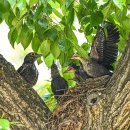 올림픽공원 북1문 옆 공원 이미지