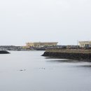 하모리-11 이미지