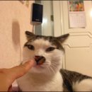 메이그루밍 이미지