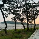 불티나는맛집 이미지