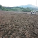 꿈이익는영농조합법인 이미지