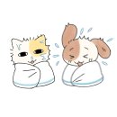 곰부인네 | [2026 조선왕릉원정대] 4일차 후기