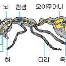 개미약국 이미지