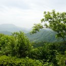 식장산 숲길 이미지